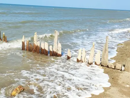 Wohnung les Althéas in Villers-sur-Mer, Appartement 2 personnes à Villers sur mer - Photo 20
