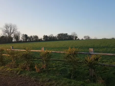 Le domaine des roseraies, Unterkunft Maupassant, Maison 5 personnes à Isigny sur Mer - Photo 31