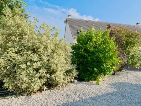 Haus  L'Oyat  mit Garten und Plancha, Maison 8 personnes à Barneville Carteret - Photo 33