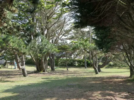 8883  in Strandnähe, Maison 4 personnes à Anneville sur Mer - Photo 4