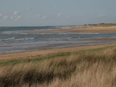 8883  in Strandnähe, Maison 4 personnes à Anneville sur Mer - Photo 19