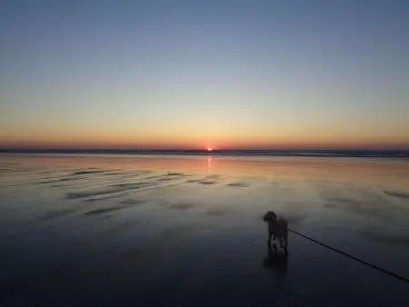 Le Crépuscule  (Die Dämmerung), Maison 7 personnes à Anneville sur Mer - Photo 4