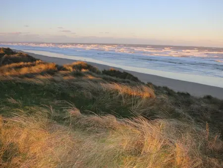 l'Escale dunes, Strände 20 Meter entfernt, Meerblick - Photo 47