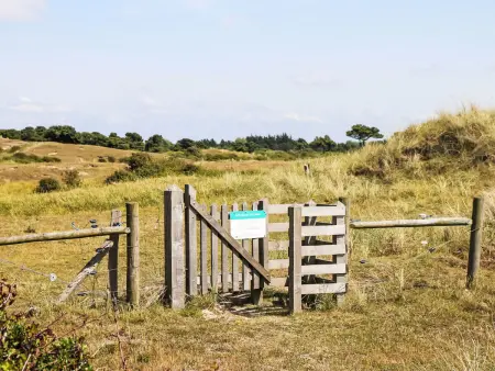 l'Escale dunes, Strände 20 Meter entfernt, Meerblick - Photo 52