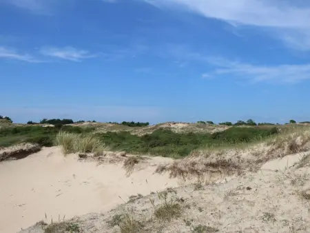 l'Escale dunes, Strände 20 Meter entfernt, Meerblick - Photo 54