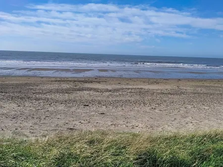 l'Escale dunes, Strände 20 Meter entfernt, Meerblick - Photo 67