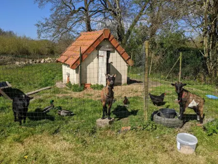 Estate  Le Pressoir  (Die Kelterei), Maison 4 personnes à Bretteville sur Ay - Photo 20