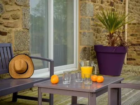 Villa Beheizter Innenpool 30, Maison 8 personnes à Ploudalmezeau - Photo 36