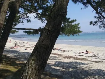 Cap Coz Cottage 500m vom Sandstrand entfernt, Maison 6 personnes à Fouesnant - Photo 21