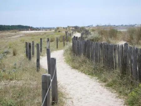 Cap Coz Cottage 500m vom Sandstrand entfernt, Maison 6 personnes à Fouesnant - Photo 26