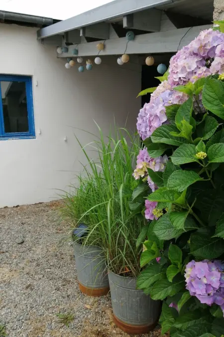 Bretagne Loctudy Haus Les Camélias 3 Personen, Maison 2 personnes à Loctudy - Photo 34