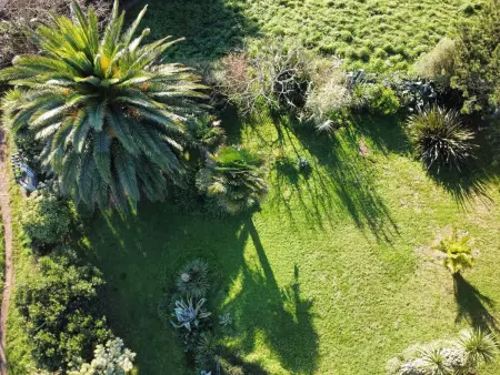 Prächtige Villa mit exotischem Garten, Strand 200m entfernt - Photo 3