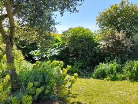 Großes Familienhaus mit schön angelegtem Garten - Photo 34