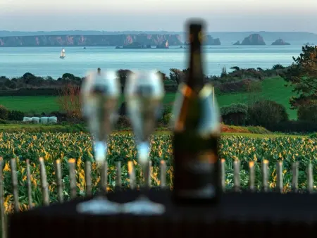 Villa mit Meerblick und privatem Spa - les gîtes de Fabie - Photo 8