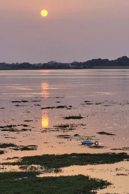 Les Gites d'Aline, Maison 5 personnes à Brignogan Plage - Photo 13