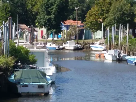 Gîte Timellen - Private Schwimmbäder, Maison 2 personnes à Lanton - Photo 21