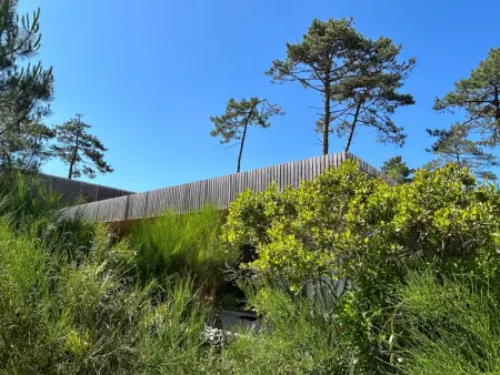 La Maison Pinède, Maison 4 personnes à Lit et Mixe - Photo 1