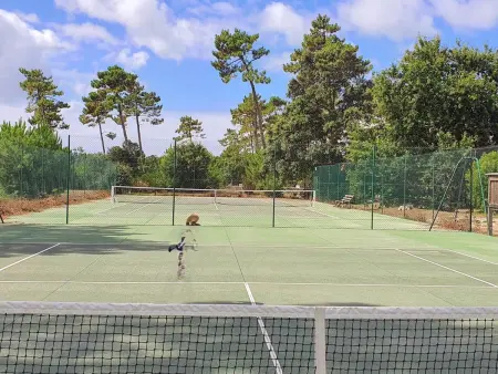 Villa contis-Plage 900m vom Ozean entfernt, Maison 8 personnes à Lit et Mixe - Photo 32