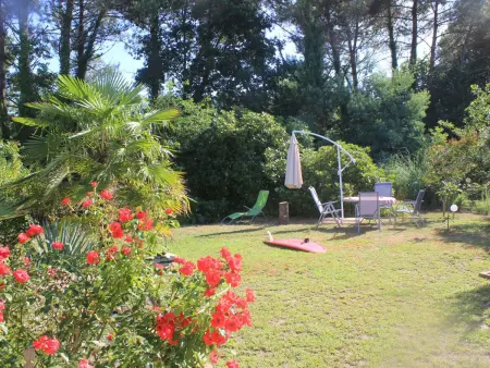 Villa  La Belle Vie, Maison 7 personnes à Messanges - Photo 4