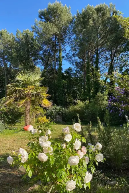 Villa  La Belle Vie, Maison 7 personnes à Messanges - Photo 6