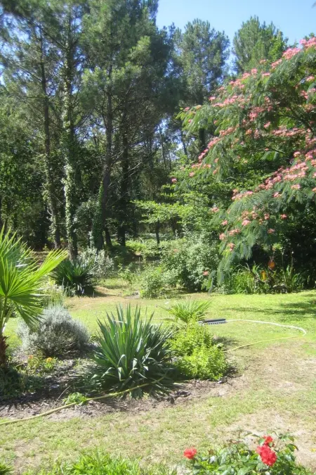 Villa  La Belle Vie, Maison 7 personnes à Messanges - Photo 7