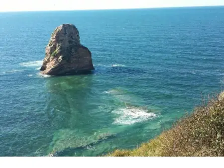 Sehr Schone Typisch Baskische, Appartement 2 personnes à Biarritz - Photo 4