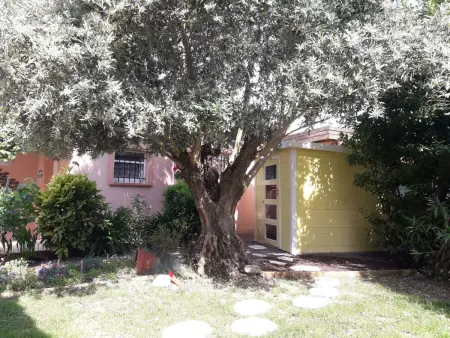 Haus  Les Cyprès  mit Gemeinschaftspool, Maison 2 personnes à Colomiers - Photo 9