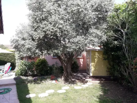 Haus  Les Cyprès  mit Gemeinschaftspool, Maison 2 personnes à Colomiers - Photo 11