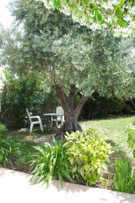Haus  Les Cyprès  mit Gemeinschaftspool, Maison 2 personnes à Colomiers - Photo 13