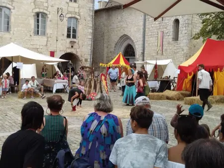 La Ferme des Paons, Maison 4 personnes à Montagudet - Photo 23