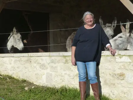 La Ferme des Paons, Maison 4 personnes à Montagudet - Photo 24