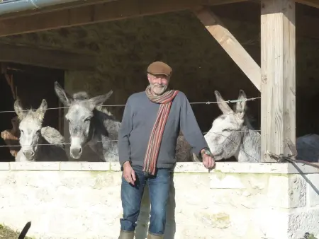 La Ferme des Paons, Maison 4 personnes à Montagudet - Photo 25