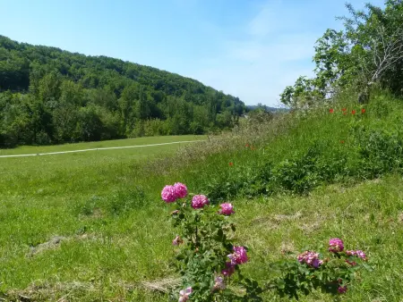 La Ferme des Paons, Maison 4 personnes à Montagudet - Photo 32