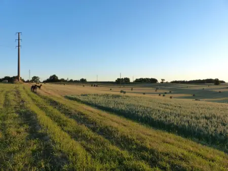 La Ferme des Paons, Maison 4 personnes à Montagudet - Photo 35