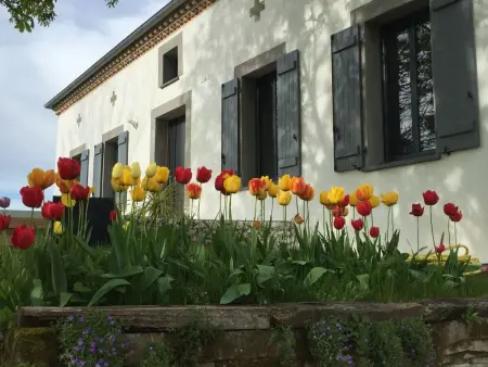 Luxuriöses Landhaus mit Pool, Maison 6 personnes à Durfort Lacapelette - Photo 2