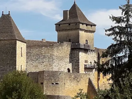 im Périgord in Saint-Cybranet, Maison 6 personnes à Domme - Photo 21