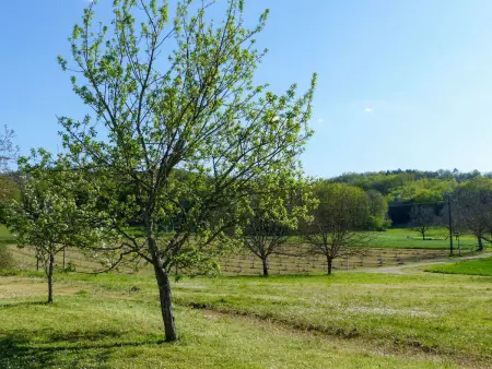 les Milandes in Sainte-Mondane, Maison 2 personnes à Carlux - Photo 12
