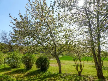 Monfort in Sainte-Mondane, Maison 9 personnes à Carlux - Photo 18