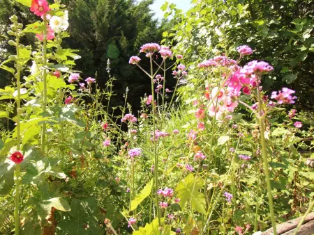 Komfort, Ruhe, privater Pool, EV-Ladestation, Maison 2 personnes à Bergerac - Photo 23