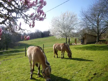 Komfort, Ruhe, privater Pool, EV-Ladestation, Maison 2 personnes à Bergerac - Photo 25