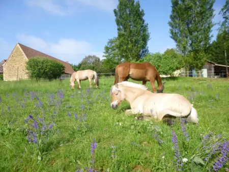 Komfort, Ruhe, privater Pool, EV-Ladestation, Maison 2 personnes à Bergerac - Photo 27