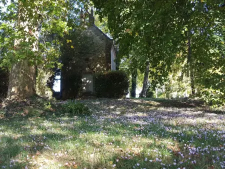 Der Pavillon - im Park des Schlosses Lescaut, Maison 7 personnes à Montignac de Lauzun - Photo 32