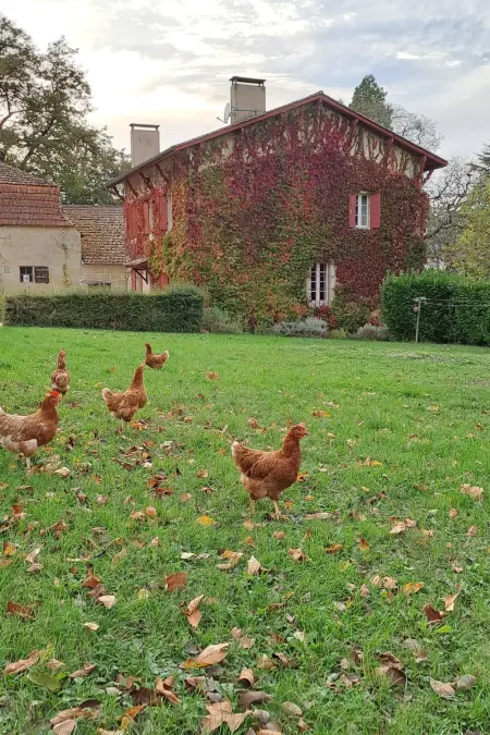 Der Pavillon - im Park des Schlosses Lescaut, Maison 7 personnes à Montignac de Lauzun - Photo 36