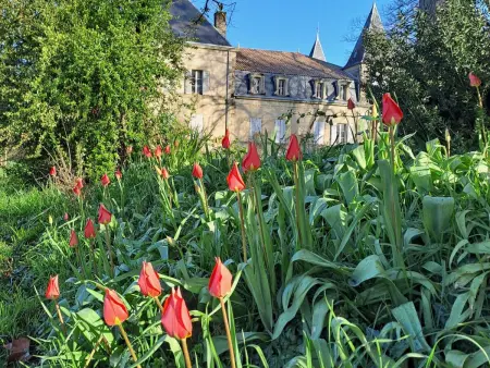 Der Pavillon - im Park des Schlosses Lescaut, Maison 7 personnes à Montignac de Lauzun - Photo 39