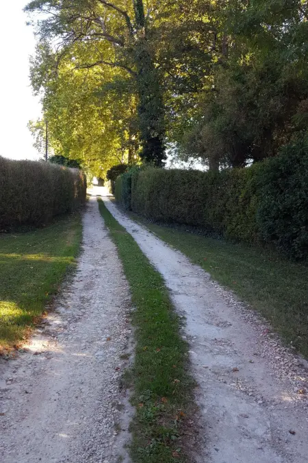Der Pavillon - im Park des Schlosses Lescaut, Maison 7 personnes à Montignac de Lauzun - Photo 43