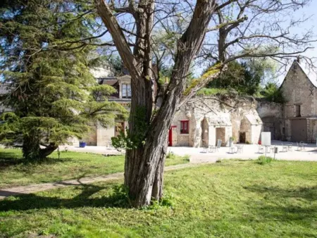 Cottage Parc 70m2 mit Pool in Azay le rideau, Appartement 2 personnes à Azay le Rideau - Photo 64