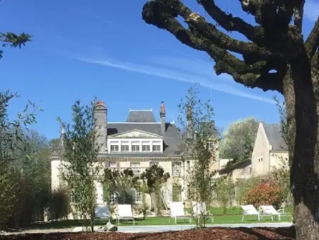 Cottage de la tour duplex 100m2 mit Pool Azay le rideau - Photo 66
