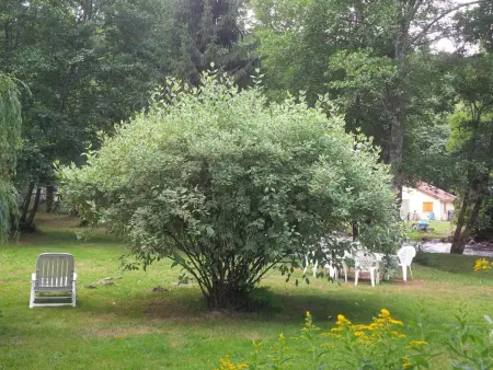 maison les isles menefriers, Maison 7 personnes à Quarré les Tombes - Photo 24