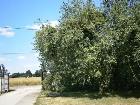 Le gite du randonneur (Das Ferienhaus des Wanderers) - Photo 10