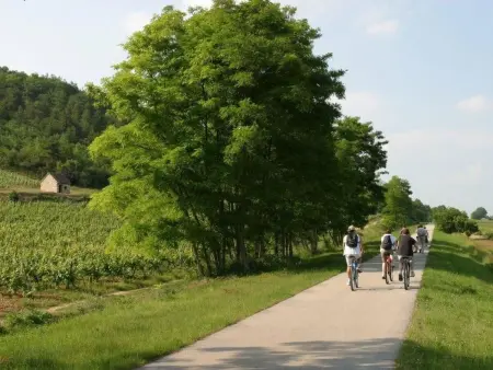 Le gite du randonneur (Das Ferienhaus des Wanderers) - Photo 12